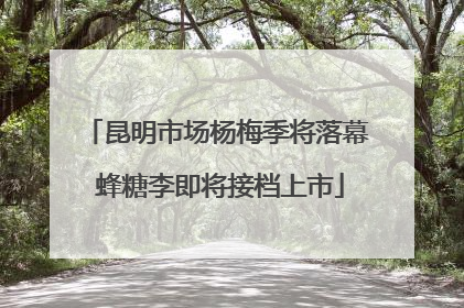 昆明市场杨梅季将落幕 蜂糖李即将接档上市