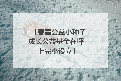 春雷公益小种子成长公益基金在坪上完小设立