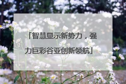智慧显示新势力，强力巨彩谷亚创新领航