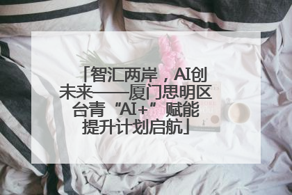 智汇两岸，AI创未来——厦门思明区台青“AI+”赋能提升计划启航