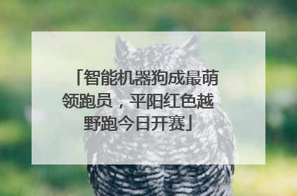 智能机器狗成最萌领跑员，平阳红色越野跑今日开赛
