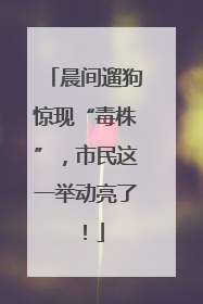 晨间遛狗惊现“毒株”，市民这一举动亮了！