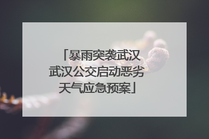 暴雨突袭武汉 武汉公交启动恶劣天气应急预案