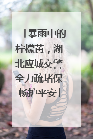暴雨中的柠檬黄，湖北应城交警全力疏堵保畅护平安