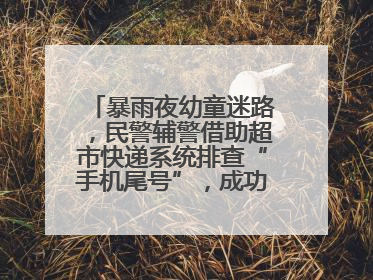 暴雨夜幼童迷路，民警辅警借助超市快递系统排查“手机尾号”，成功联系上家长