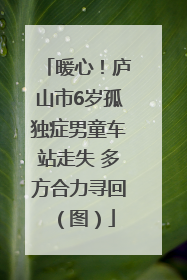 暖心！庐山市6岁孤独症男童车站走失 多方合力寻回（图）