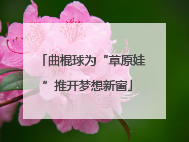 曲棍球为“草原娃”推开梦想新窗