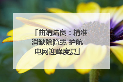 曲靖陆良：精准消缺除隐患 护航电网迎峰度夏