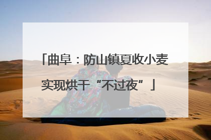 曲阜：防山镇夏收小麦实现烘干“不过夜”