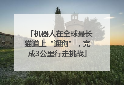 机器人在全球最长猫道上“遛狗”，完成3公里行走挑战