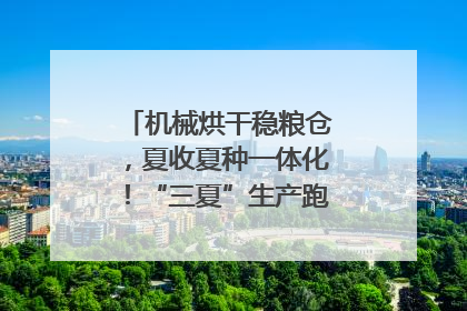 机械烘干稳粮仓，夏收夏种一体化！“三夏”生产跑出加速度｜麦报