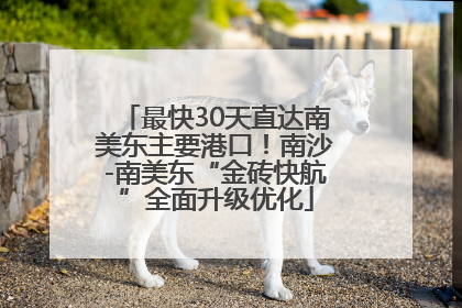 最快30天直达南美东主要港口！南沙-南美东“金砖快航”全面升级优化