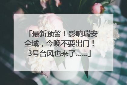 最新预警！影响瑞安全域，今晚不要出门！3号台风也来了……