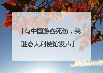 有中国游客死伤，我驻意大利使馆发声