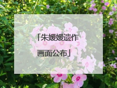 朱媛媛遗作画面公布