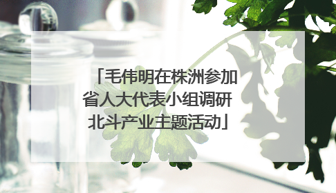 毛伟明在株洲参加省人大代表小组调研北斗产业主题活动