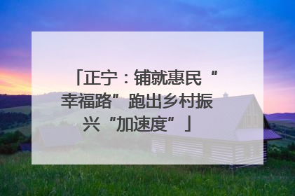 正宁：铺就惠民“幸福路”跑出乡村振兴“加速度”