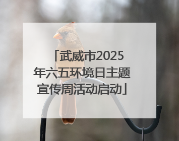 武威市2025年六五环境日主题宣传周活动启动