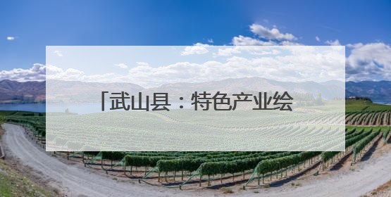 武山县：特色产业绘就富民强村新画卷