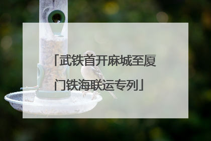武铁首开麻城至厦门铁海联运专列