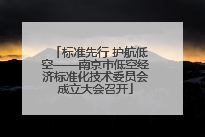 标准先行 护航低空——南京市低空经济标准化技术委员会成立大会召开