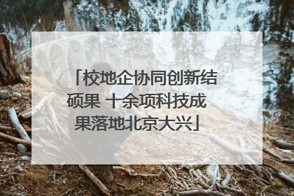 校地企协同创新结硕果 十余项科技成果落地北京大兴