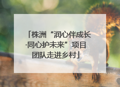 株洲“润心伴成长·同心护未来”项目团队走进乡村