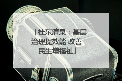 桂东清泉：基层治理提效能 改善民生增福祉