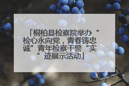 桐柏县检察院举办“检心永向党，青春铸忠诚”青年检察干警“实”迹展示活动