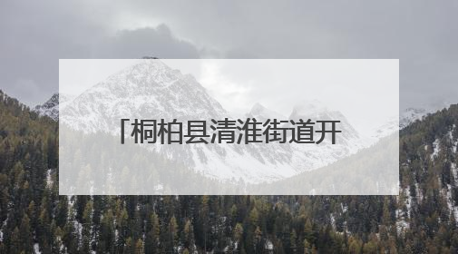桐柏县清淮街道开展端午节前食品安全专项检查行动