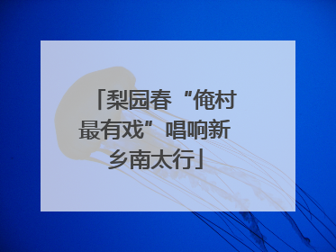 梨园春“俺村最有戏”唱响新乡南太行