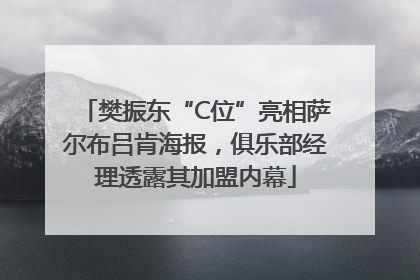 樊振东“C位”亮相萨尔布吕肯海报，俱乐部经理透露其加盟内幕