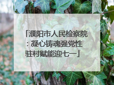 濮阳市人民检察院：凝心铸魂强党性 驻村赋能迎七一