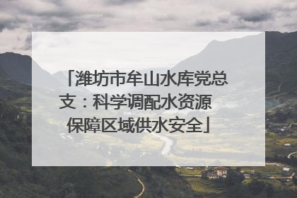 潍坊市牟山水库党总支：科学调配水资源 保障区域供水安全