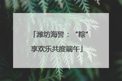潍坊海警：“粽”享欢乐共度端午