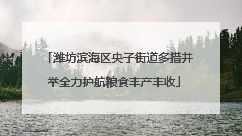 潍坊滨海区央子街道多措并举全力护航粮食丰产丰收