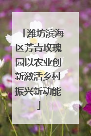 潍坊滨海区芳青玫瑰园以农业创新激活乡村振兴新动能
