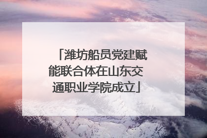 潍坊船员党建赋能联合体在山东交通职业学院成立