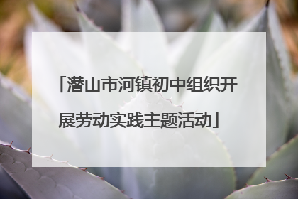 潜山市河镇初中组织开展劳动实践主题活动