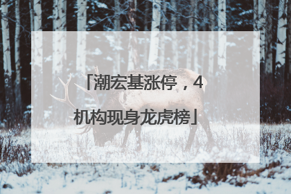 潮宏基涨停，4机构现身龙虎榜