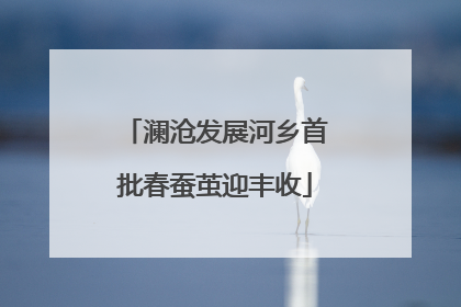 澜沧发展河乡首批春蚕茧迎丰收