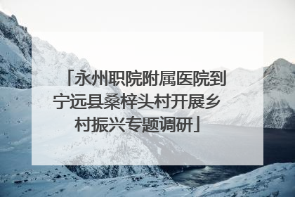 永州职院附属医院到宁远县桑梓头村开展乡村振兴专题调研