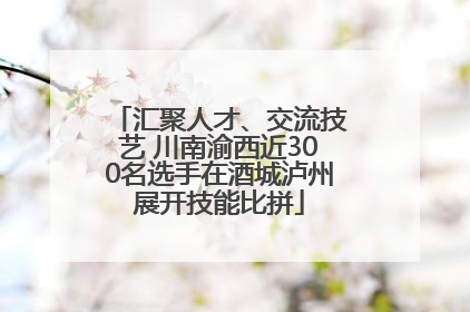 汇聚人才、交流技艺 川南渝西近300名选手在酒城泸州展开技能比拼