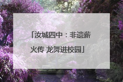 汝城四中：非遗薪火传 龙舞进校园