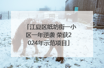江夏区纸坊街一小区一年逆袭 荣获2024年示范项目