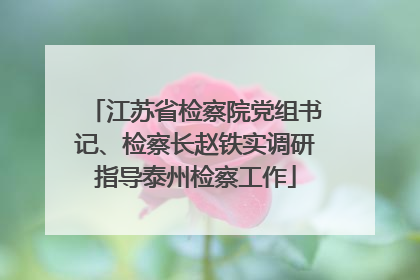 江苏省检察院党组书记、检察长赵铁实调研指导泰州检察工作