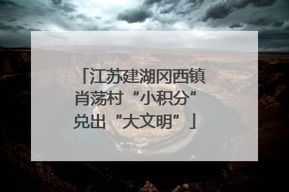 江苏建湖冈西镇肖荡村“小积分”兑出“大文明”