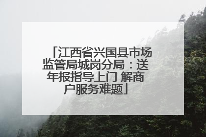 江西省兴国县市场监管局城岗分局：送年报指导上门 解商户服务难题