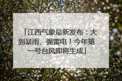 江西气象最新发布：大到暴雨、强雷电！今年第一号台风即将生成