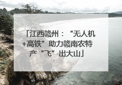 江西赣州：“无人机+高铁”助力赣南农特产“飞”出大山